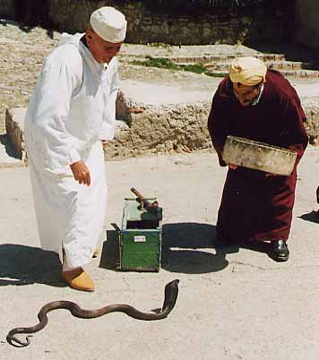 Snake charmers